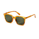 Polarized Square Sunglasses 6323p
