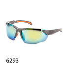 Sport Sunglasses 6293