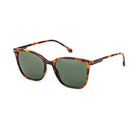 Cat Eye Sunglasses 6371